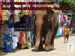 Elefant geht Shoppen